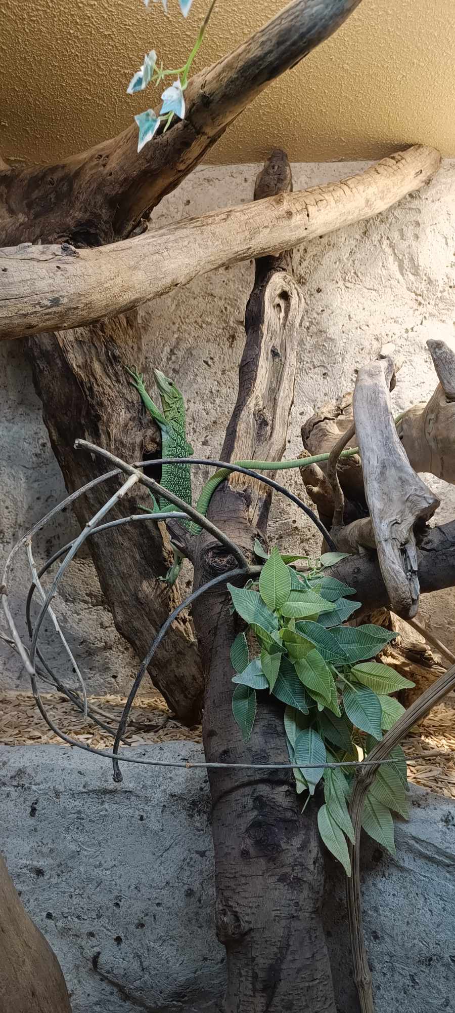 Photo n° 2 de l'avis de Aurore.i fait le 12/08/2023 à 08:58