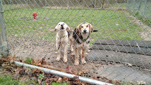Doddridge County Humane Society