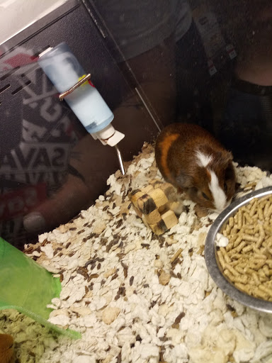 Pet Supply Store «Pet Supplies Plus», reviews and photos, 1970 Portage Trail, Cuyahoga Falls, OH 44223, USA