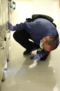 Pestec - Photo 8 - Car repair in Antioch, CA, Concord