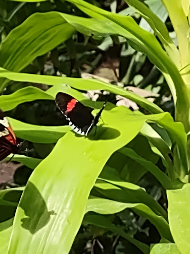Gift Shop «Meijer Gardens Gift Shop», reviews and photos, 1000 E Beltline Ave NE, Grand Rapids, MI 49525, USA