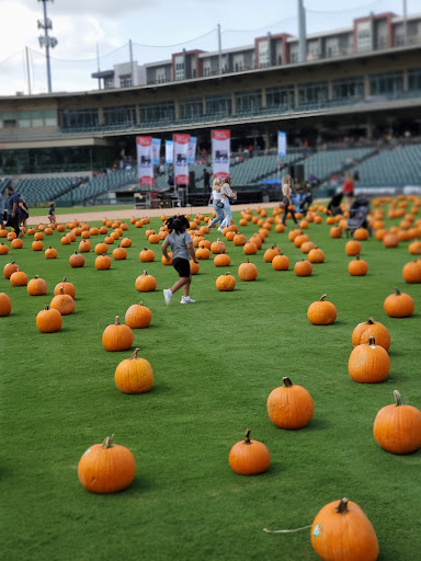 Stadium «BB&T Ballpark», reviews and photos, 324 S Mint St, Charlotte, NC 28202, USA