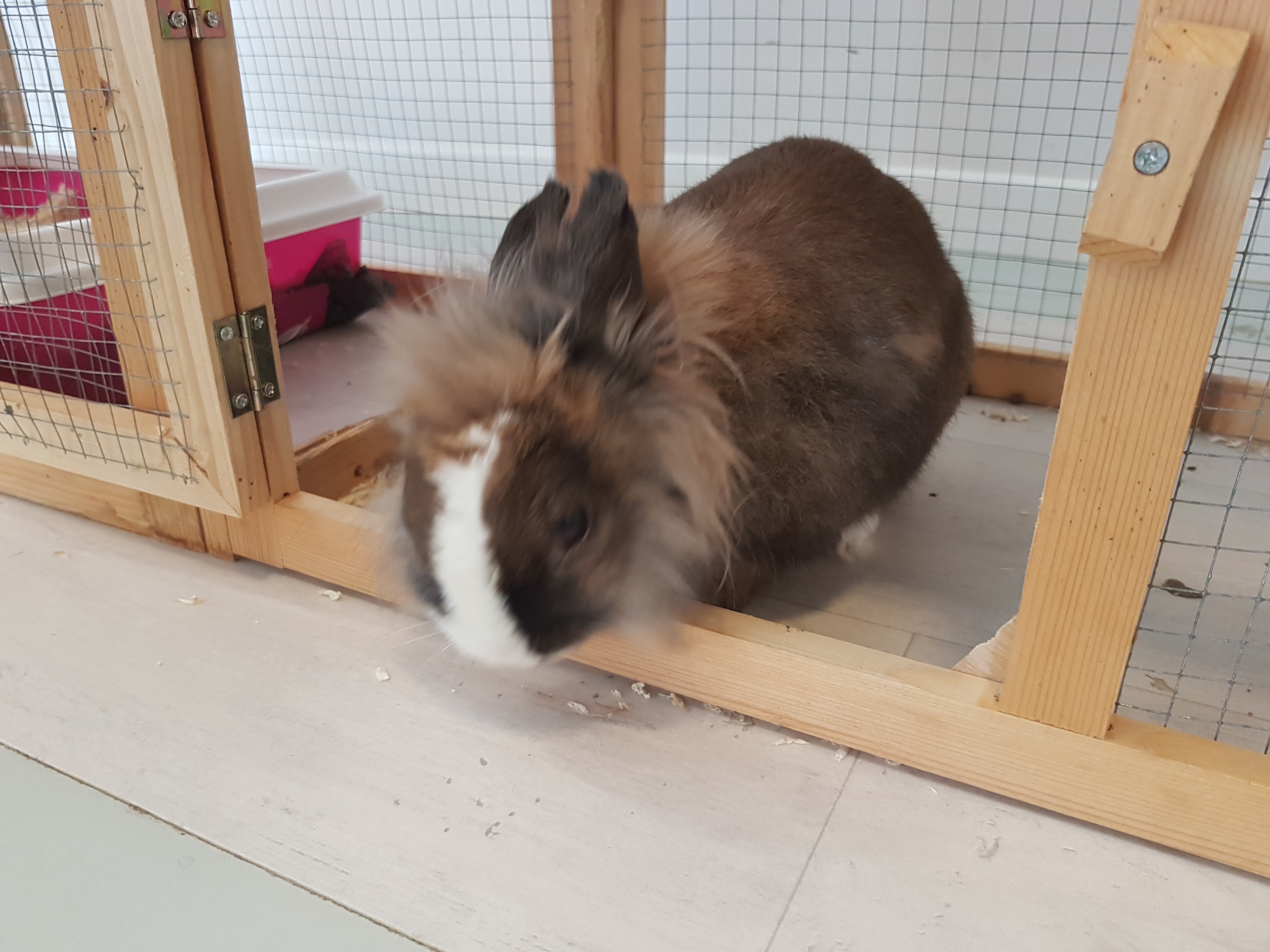Photo n° 1 de l'avis de R... fait le 27/02/2019 à 15:22