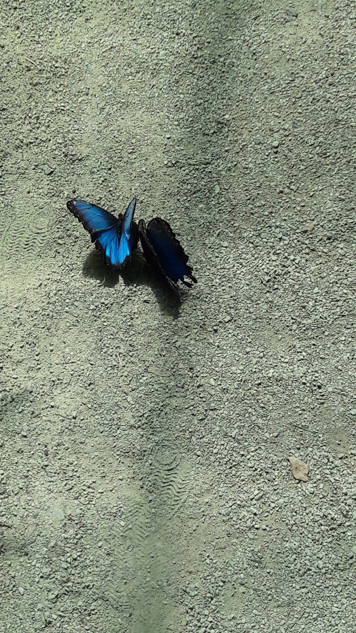 Photo n° 12 de l'avis de jessyca.a fait le 27/04/2018 à 12:12