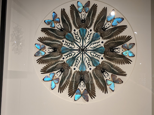 Event Venue «Gallery of Amazing Things», reviews and photos, 481 S Federal Hwy, Dania Beach, FL 33004, USA