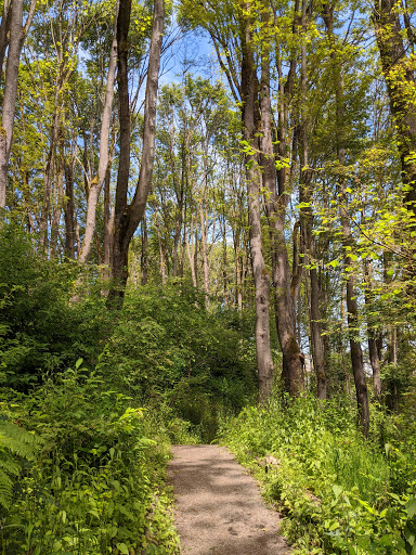 Park «Lewis Park», reviews and photos, 1120 15th Ave S, Seattle, WA 98144, USA