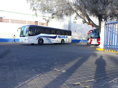Terminal Turística de Autobuses - Av Alvaro Obregón, sobre el Malecón,  entre la Avenida 5 de Mayo y la Calle, Independencia, Universidad Autónoma  de Baja California Sur, La Paz, .