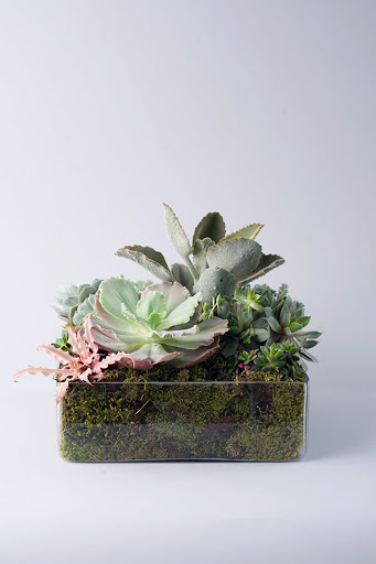 Florist «Allan Woods Flowers», reviews and photos, 2645 Connecticut Ave NW, Washington, DC 20008, USA