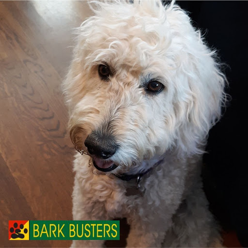 Bark Busters Home Dog Training San Francisco & Marin