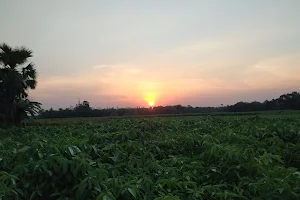 NORTH KALSARA FIELD উত্তর কালসারা মাঠ image