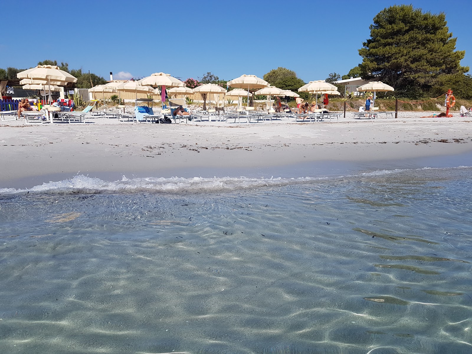 Foto av Stranden Capo Comino - rekommenderas för familjeresenärer med barn