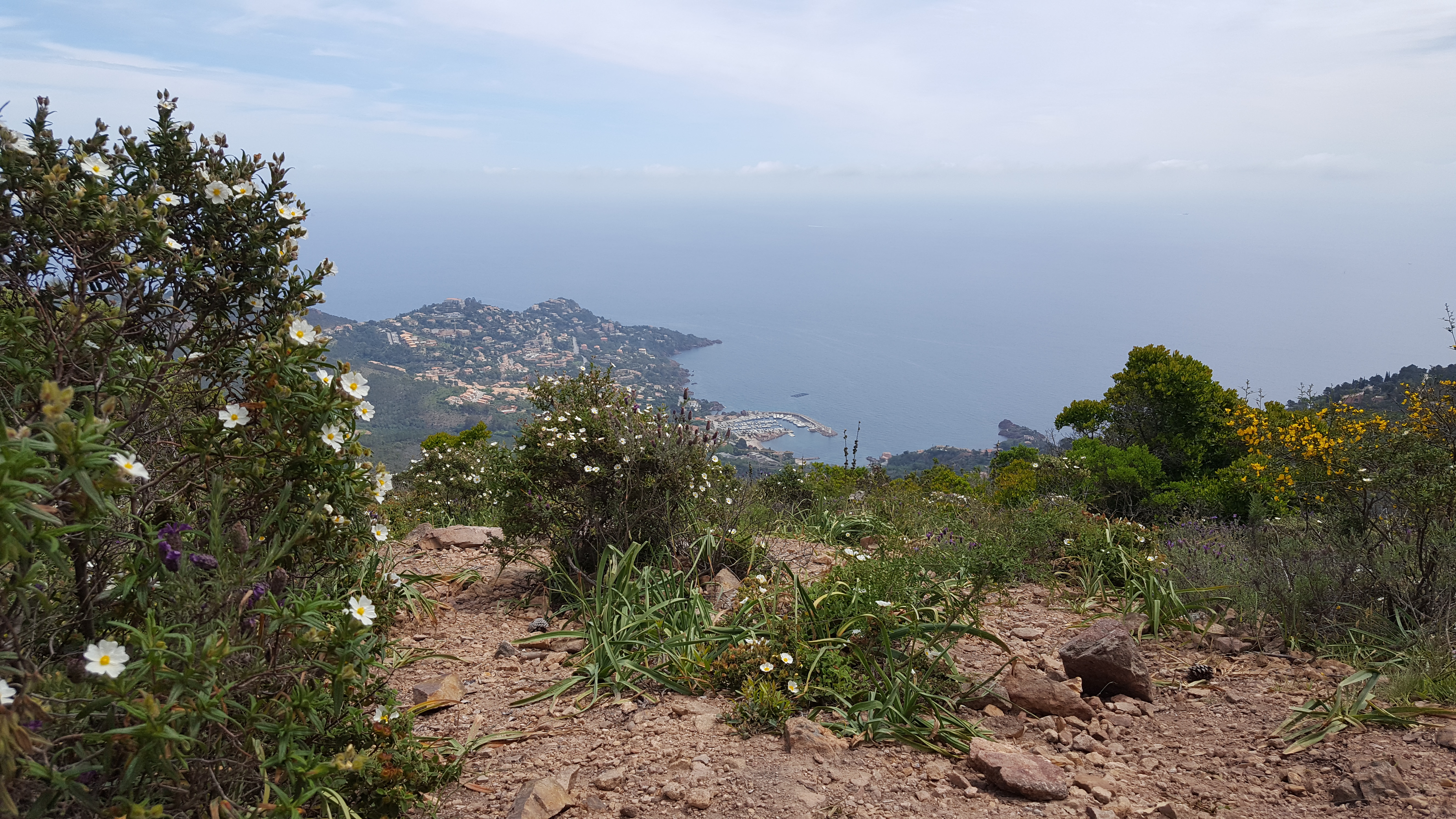 Photo n° 3 de l'avis de J.� fait le 31/05/2017 à 14:36
