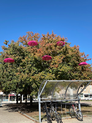 Parc de Buxerolles à Buxerolles