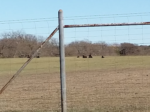 State Park «Lyndon B. Johnson State Park & Historic Site», reviews and photos, 199 Park Road 52, Stonewall, TX 78671, USA