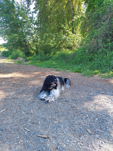 HVAC Contractor «Washington Energy Services», reviews and photos