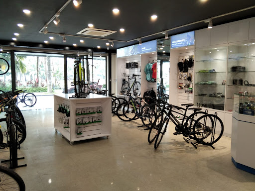 THBC Bike Shop Ecopark Cửa hàng xe đạp Ecopark