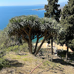 Photo n°7 de l'avis de Gabriel.r fait le 18/04/2023 à 14:08 sur le  Eurostars Monte Tauro à Taormina