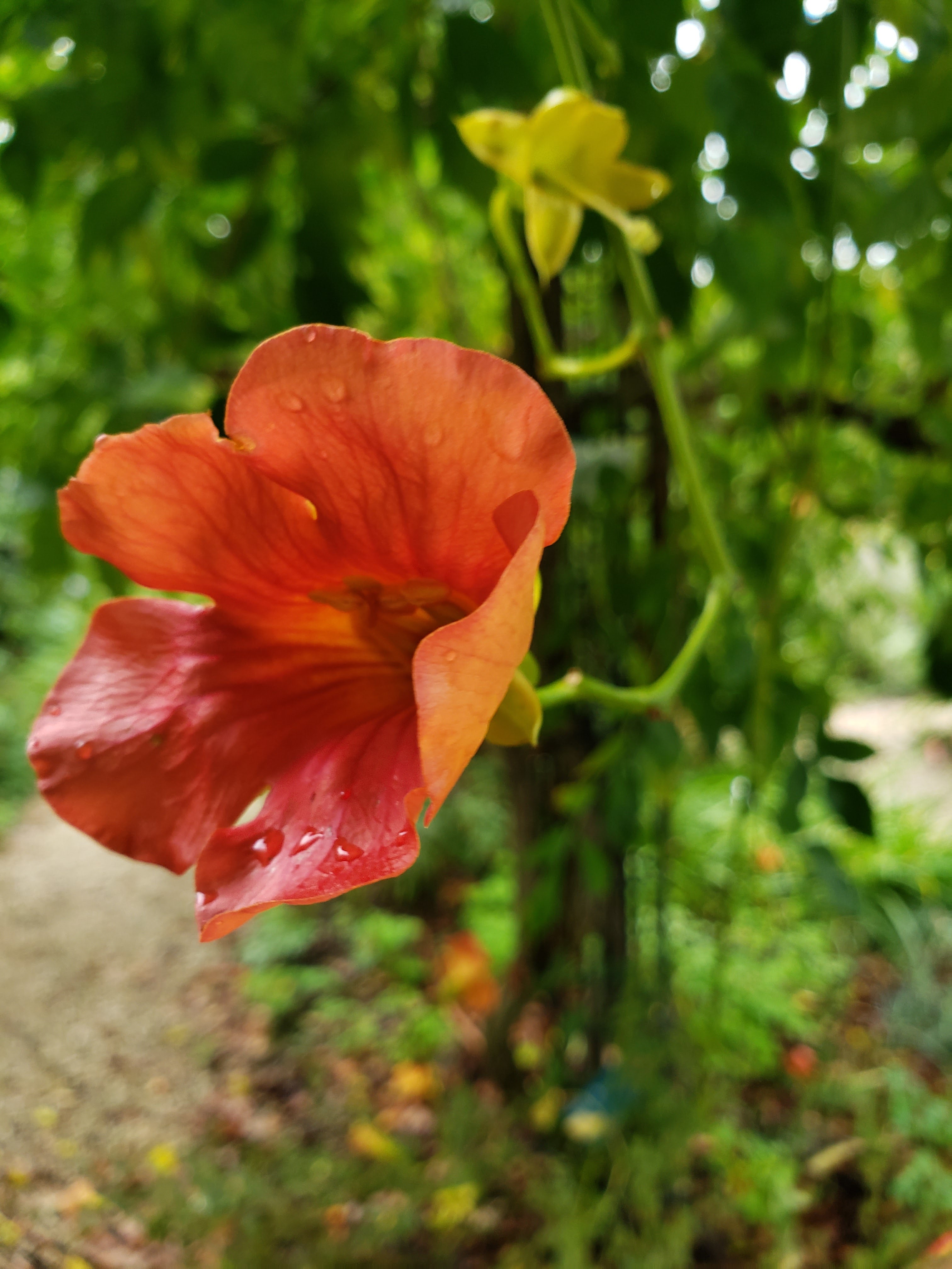 Photo n° 6 de l'avis de Alexandra.a fait le 26/09/2019 à 01:56