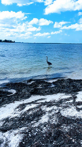 Park «Hammock Park», reviews and photos, 1945 San Mateo Dr, Dunedin, FL 34698, USA