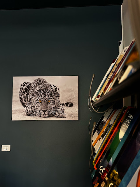 Agenzia Di Viaggio Oltre I Miraggi Di Benedetti & Ronconi Snc