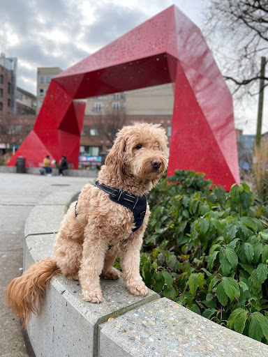 Park «Hing Hay Park», reviews and photos, 423 Maynard Ave S, Seattle, WA 98104, USA