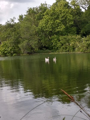 Chandler Park - photo 92
