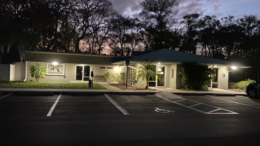 Animal Hospital of New Port Richey