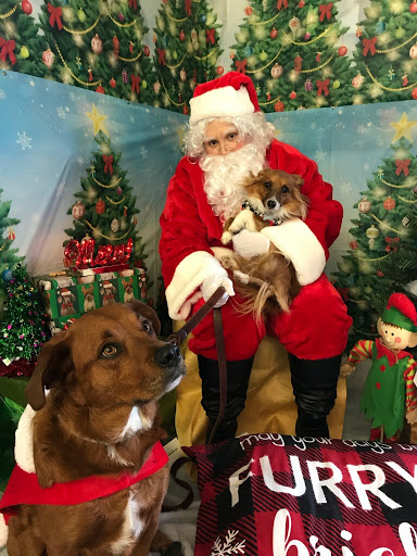 Pet Supply Store «Pet Supplies Plus», reviews and photos, 1411 S Stockton St, Lodi, CA 95240, USA