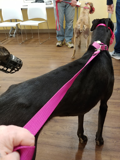 Pet Supply Store «PetPeople», reviews and photos, 3330 Washtenaw Ave, Ann Arbor, MI 48104, USA