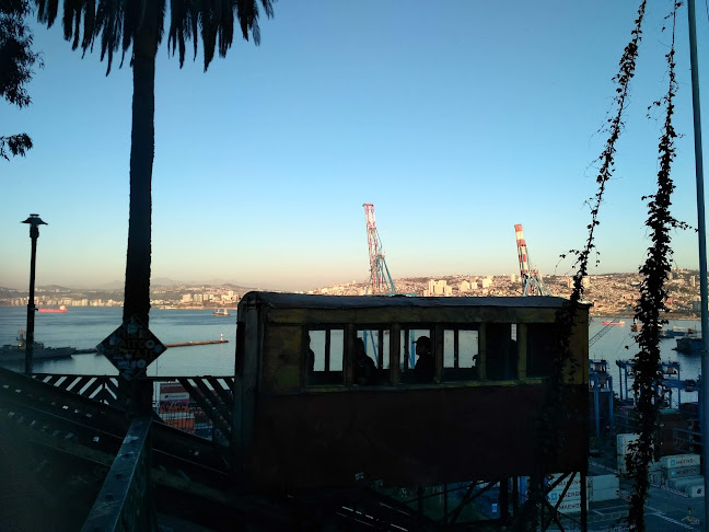 Vinizio - Valparaíso