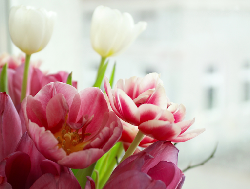 Florist «MyFlorist», reviews and photos, 1984 Chain Bridge Rd, McLean, VA 22102, USA