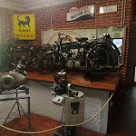 Photo n°6 de l'avis de Luca.n fait le 24/07/2018 à 12:37 sur le  Il Selvatico à Fosdinovo