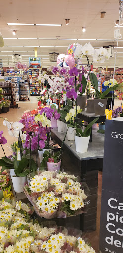 Grocery Store «Star Market», reviews and photos, 1 Snow Rd, Marshfield, MA 02050, USA