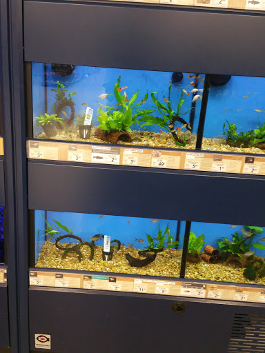 Pet Supply Store «Petco Animal Supplies», reviews and photos, 2723 Stroschein Rd, Monroeville, PA 15146, USA