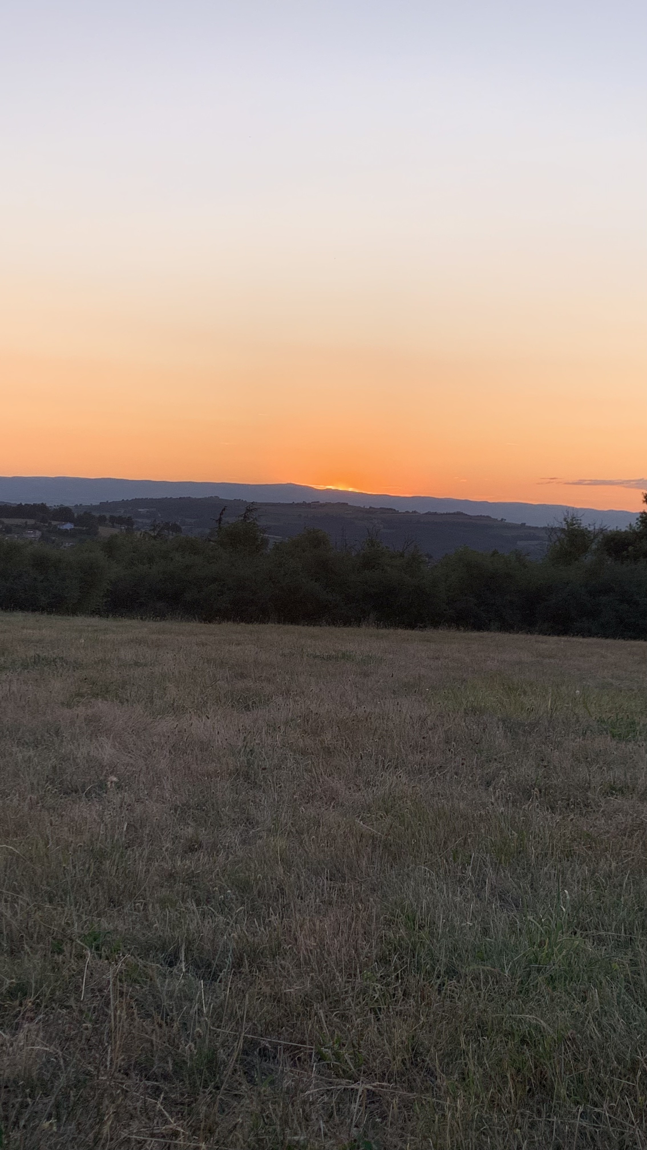 Photo n° 1 de l'avis de Fanny.o fait le 14/11/2022 à 12:11