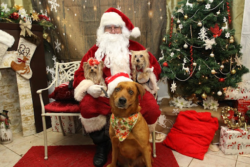 Pet Supply Store «The Hungry Puppy», reviews and photos, 1288 NJ-33, Farmingdale, NJ 07727, USA