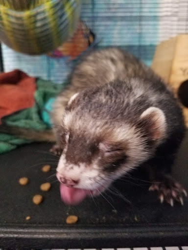 Aquarium «Biomes Marine Biology Center», reviews and photos, 6640 Post Rd, North Kingstown, RI 02852, USA