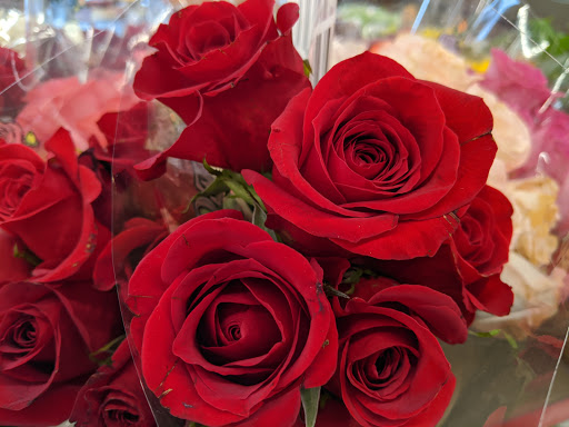 Supermarket «ALDI», reviews and photos, 10017 Belleville Rd, Van Buren Charter Township, MI 48111, USA