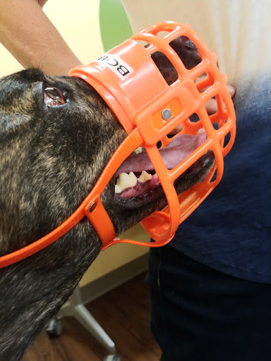 Pet Supply Store «PetPeople», reviews and photos, 3330 Washtenaw Ave, Ann Arbor, MI 48104, USA