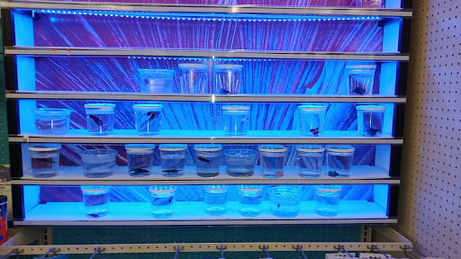 Pet Supply Store «Pet Supplies Plus», reviews and photos, 2424 W State St, Alliance, OH 44601, USA