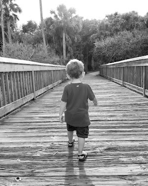 Herschel King Park - photo 82