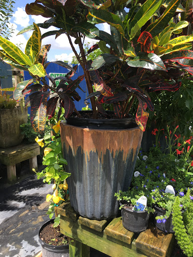 Produce Market «Nelson Family Farms», reviews and photos, 875 W Midway Rd, Fort Pierce, FL 34982, USA