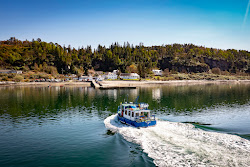 Zdjęcie Port Appin Beach poparte klifami