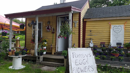 Farm «Greenleaf Farms», reviews and photos, 24 Littleworth Rd, Dover, NH 03820, USA