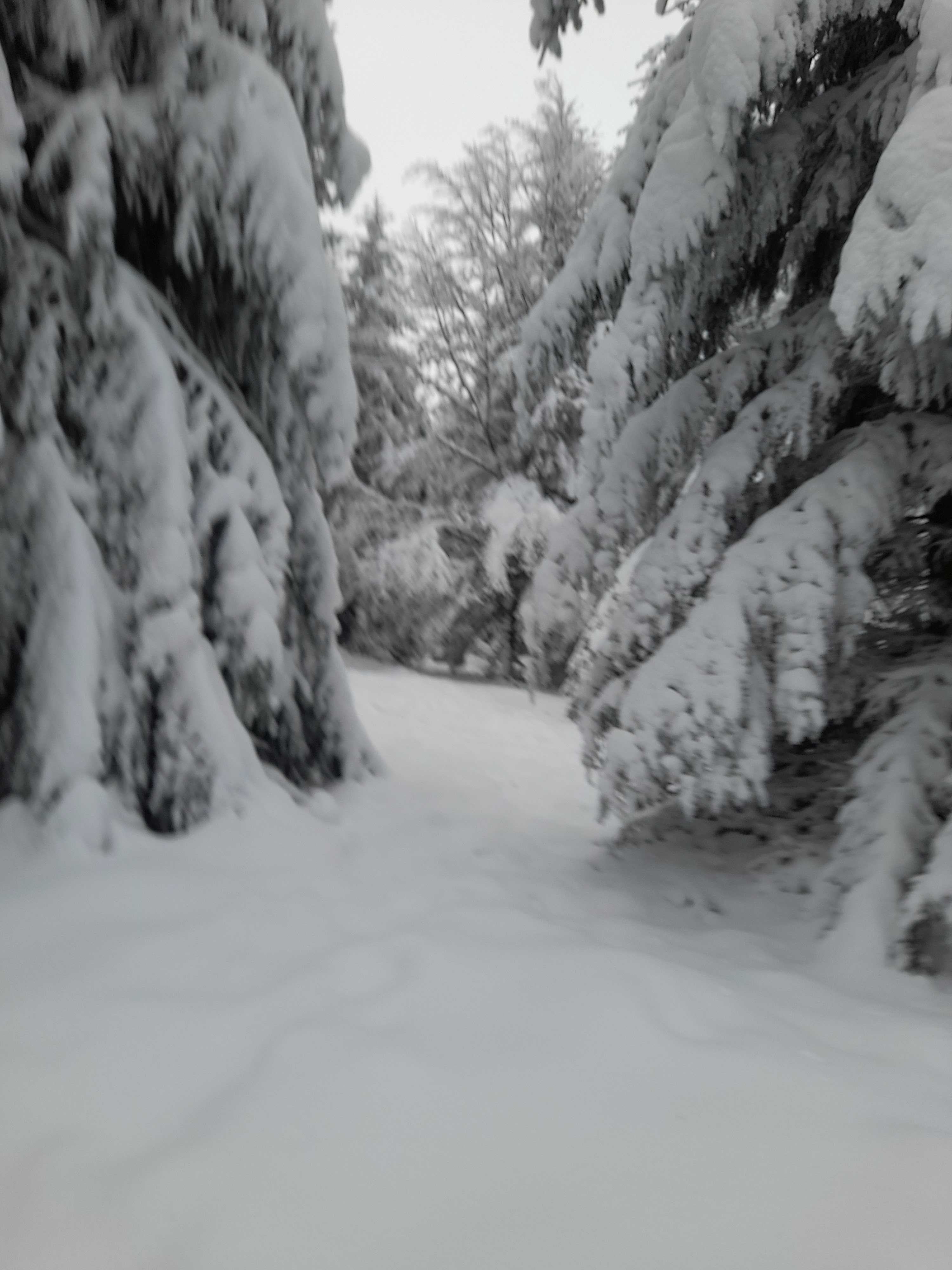Photo n° 4 de l'avis de Mentaalo. fait le 10/01/2021 à 22:27