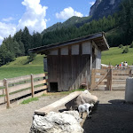 Photo n°8 de l'avis de nino.c fait le 19/08/2018 à 11:23 sur le  Tuffalm à Völs am Schlern
