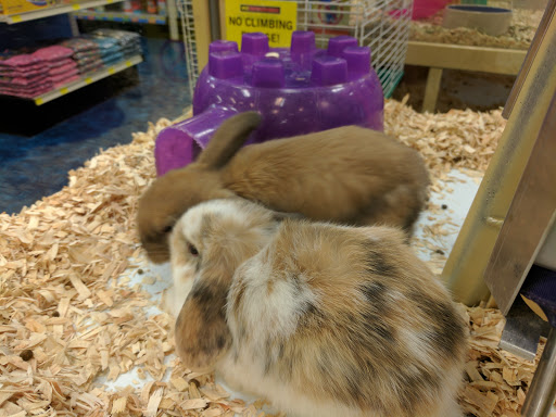 Pet Supply Store «Pet Supermarket», reviews and photos, 3821 S Cobb Dr, Smyrna, GA 30080, USA