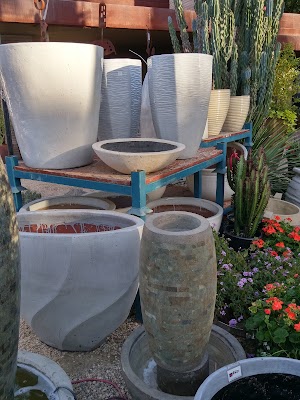 Desert Art Collection - photo 9
