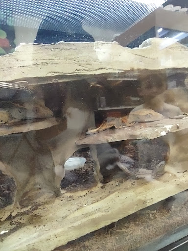 Pet Supply Store «PetSmart», reviews and photos, 1145 W Riverdale Rd, Riverdale, UT 84405, USA