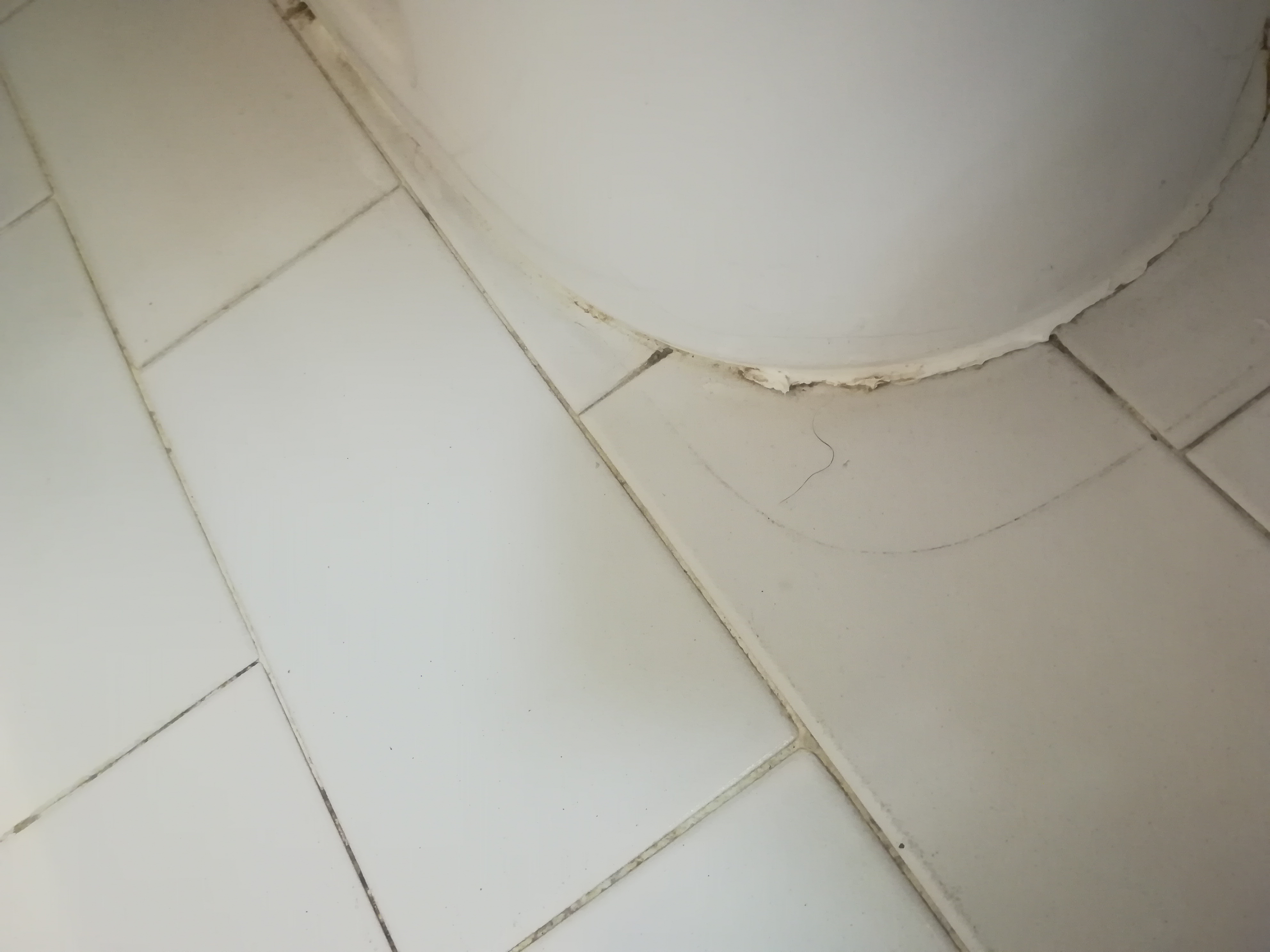 Photo n° 3 de l'avis de Mirko.o fait le 18/08/2019 à 20:52